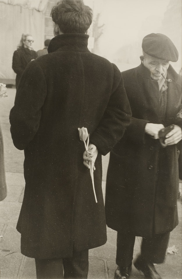 Tulip, Paris by Robert Frank