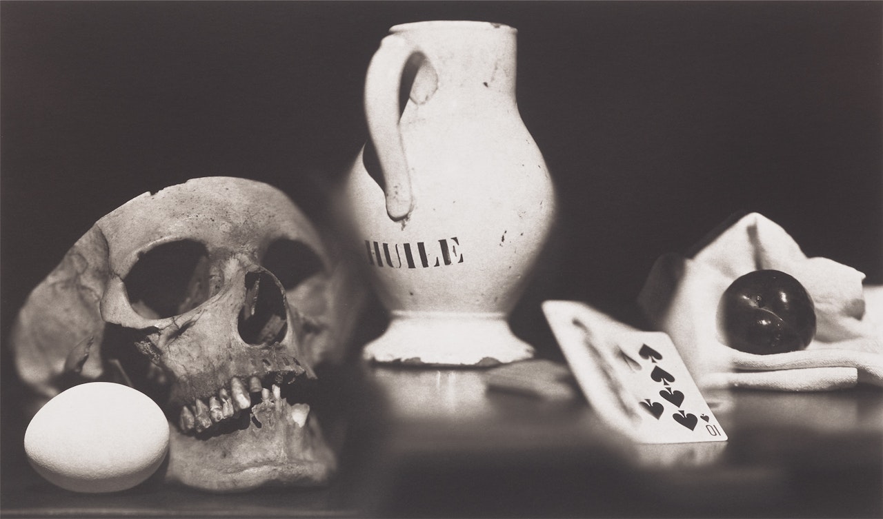 Skull, Huile and Plum by Irving Penn