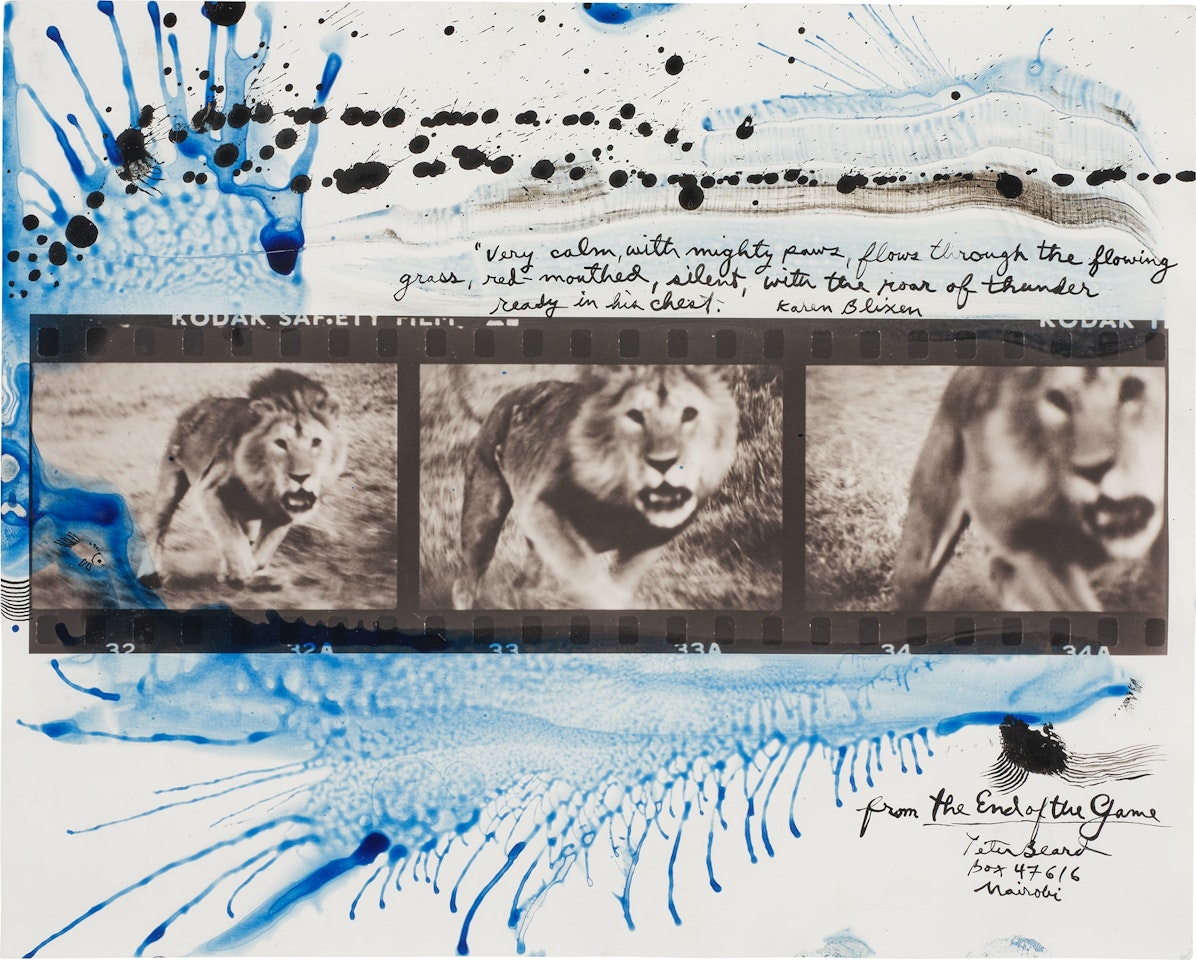 Loliondo Lion Charge from The End of the Game by Peter Beard