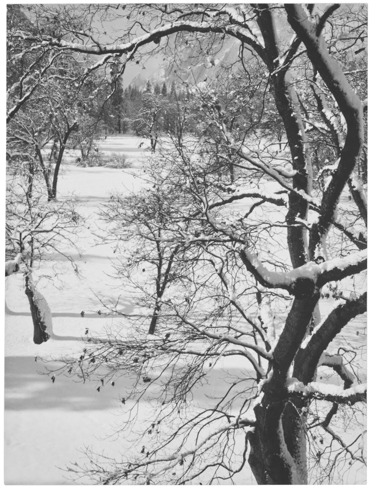 From the Ahwahnee Hotel, Winter, Yosemite National Park, California by Ansel Adams