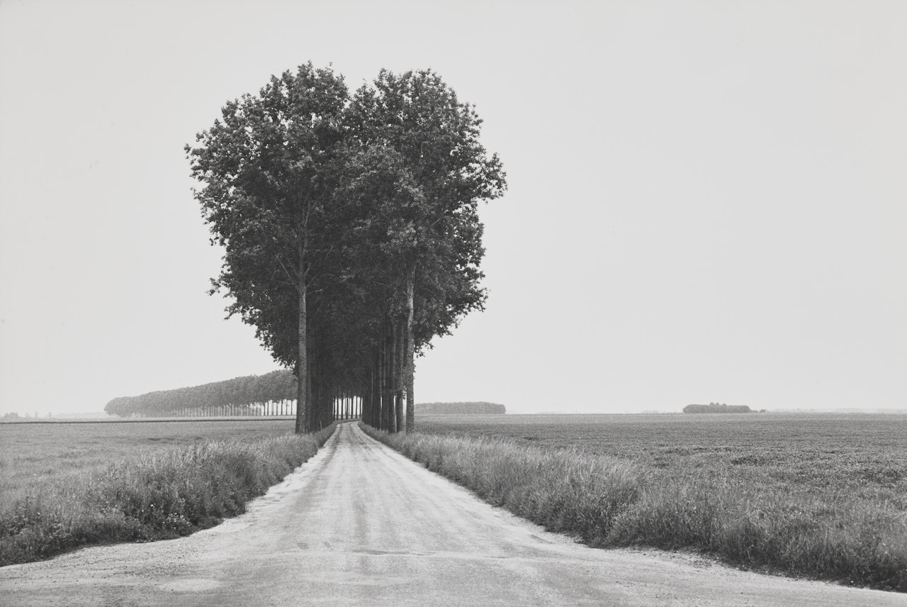 La Plaine de la Brie by Henri Cartier-Bresson