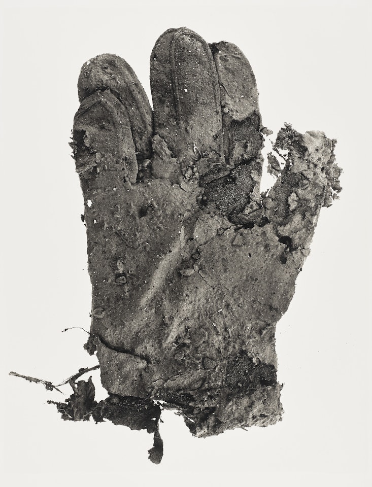 Mud Glove (SM), Neg. IV by Irving Penn