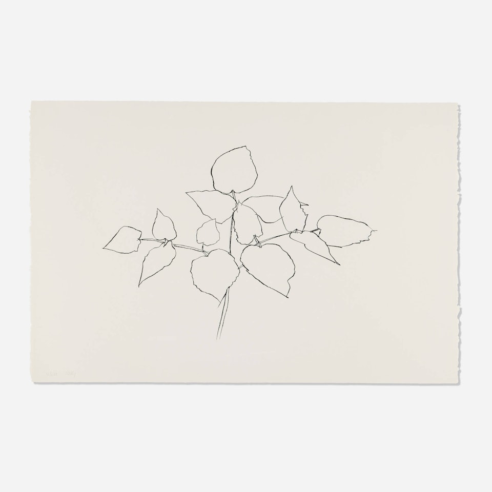 Woodland Plant by Ellsworth Kelly