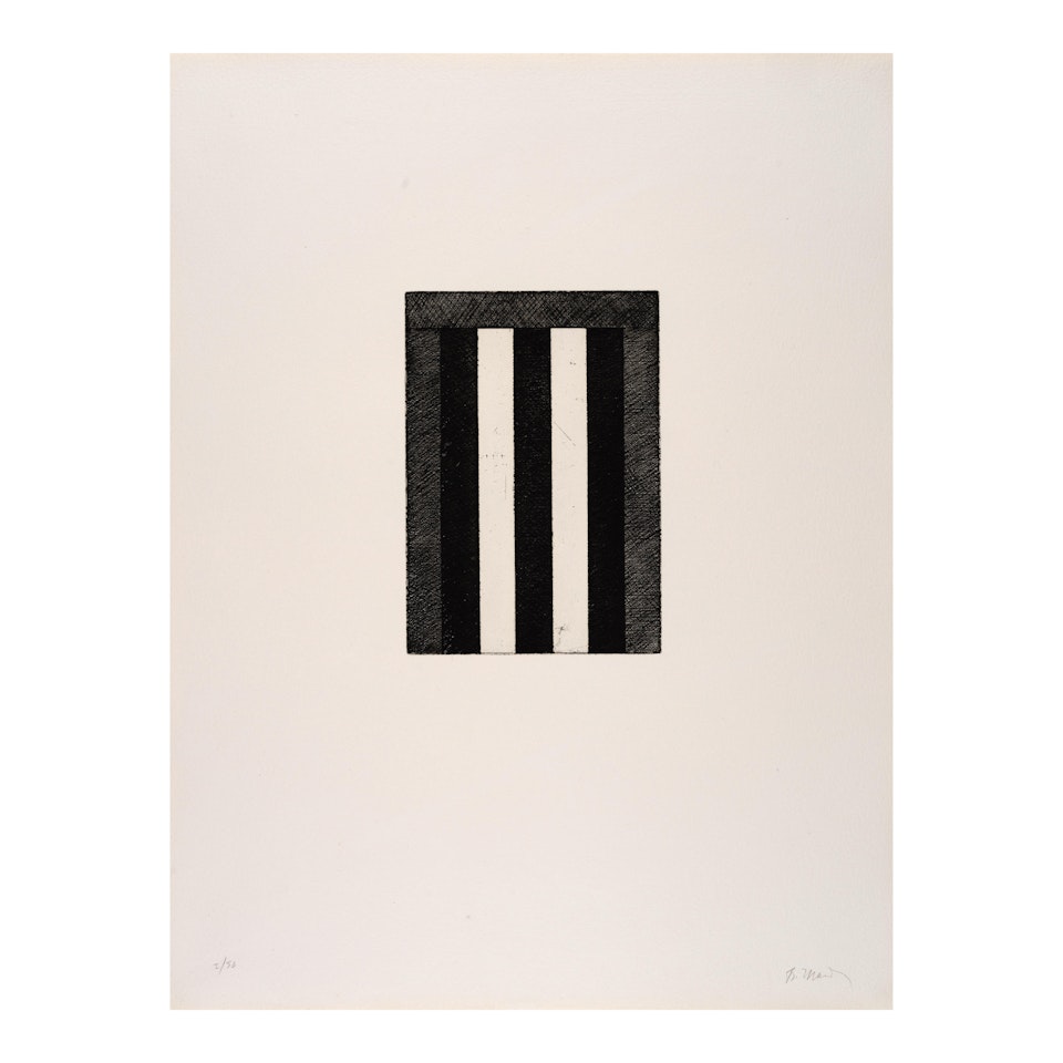 One plate (E), from 12 Views for Caroline Tatyana (Lewison 29e) by Brice Marden