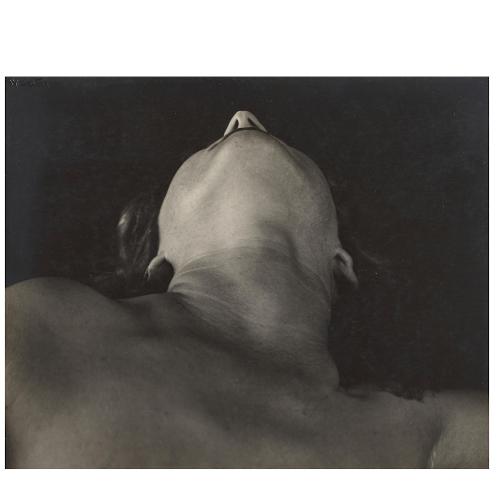 Untitled (Neck) by Edward Weston