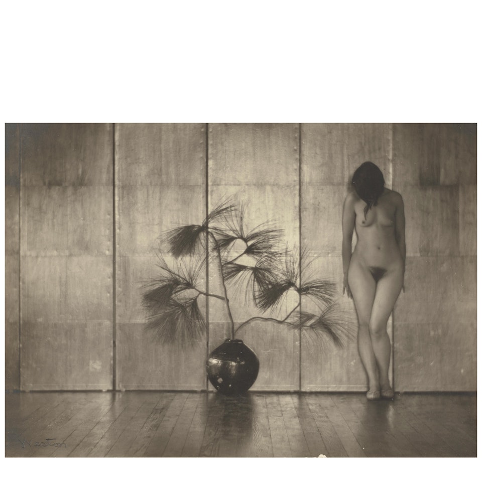 Margrethe Mather (Nude and Pine Branch) by Edward Weston