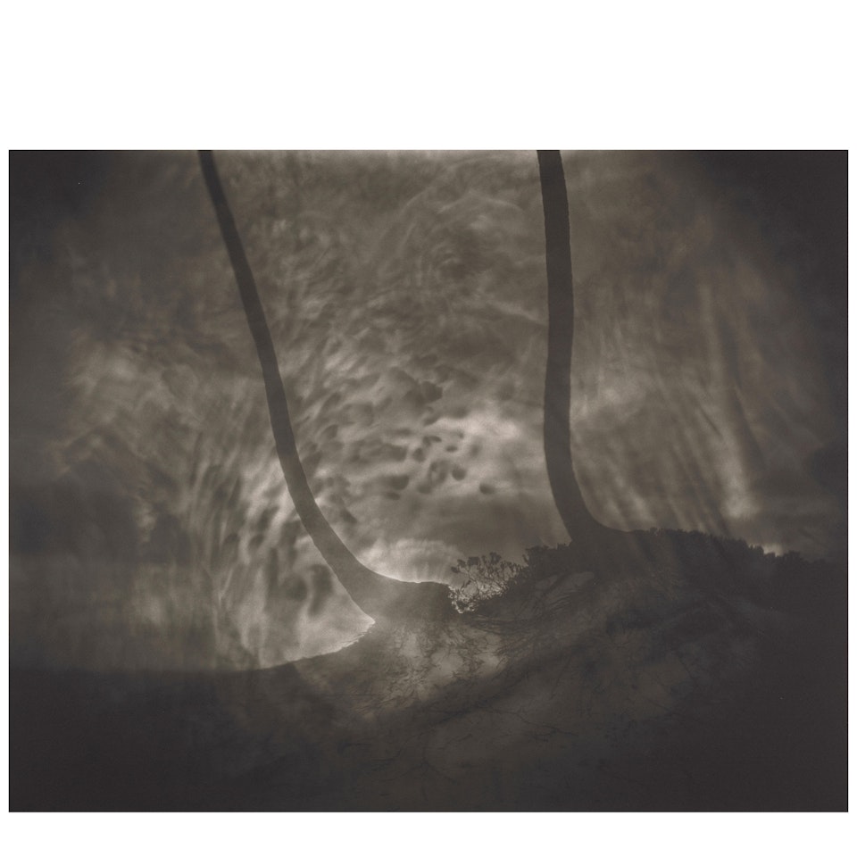 Untitled (from BAM Photography Portfolio II) by Sally Mann