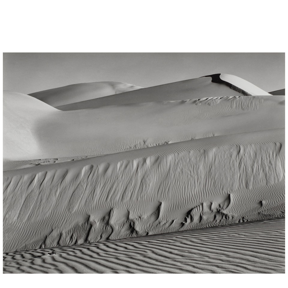 Dunes, Oceano by Edward Weston