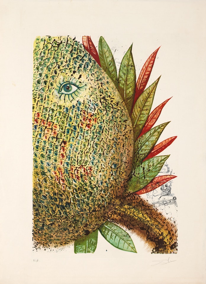 L"Ananas by Salvador Dali