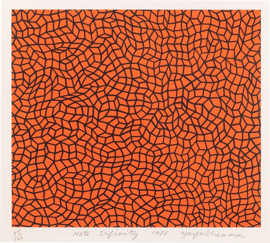 Nets Infinity by Yayoi Kusama