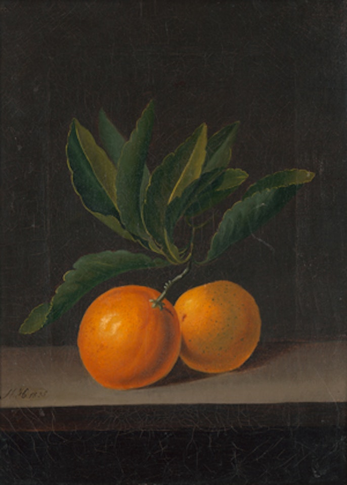 Zweig mit Pomeranzen vor dunklem Grund by German School