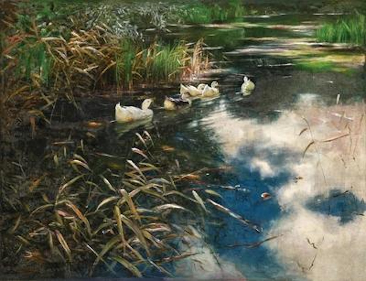 Ducks Among the Reeds by Alexander Koester