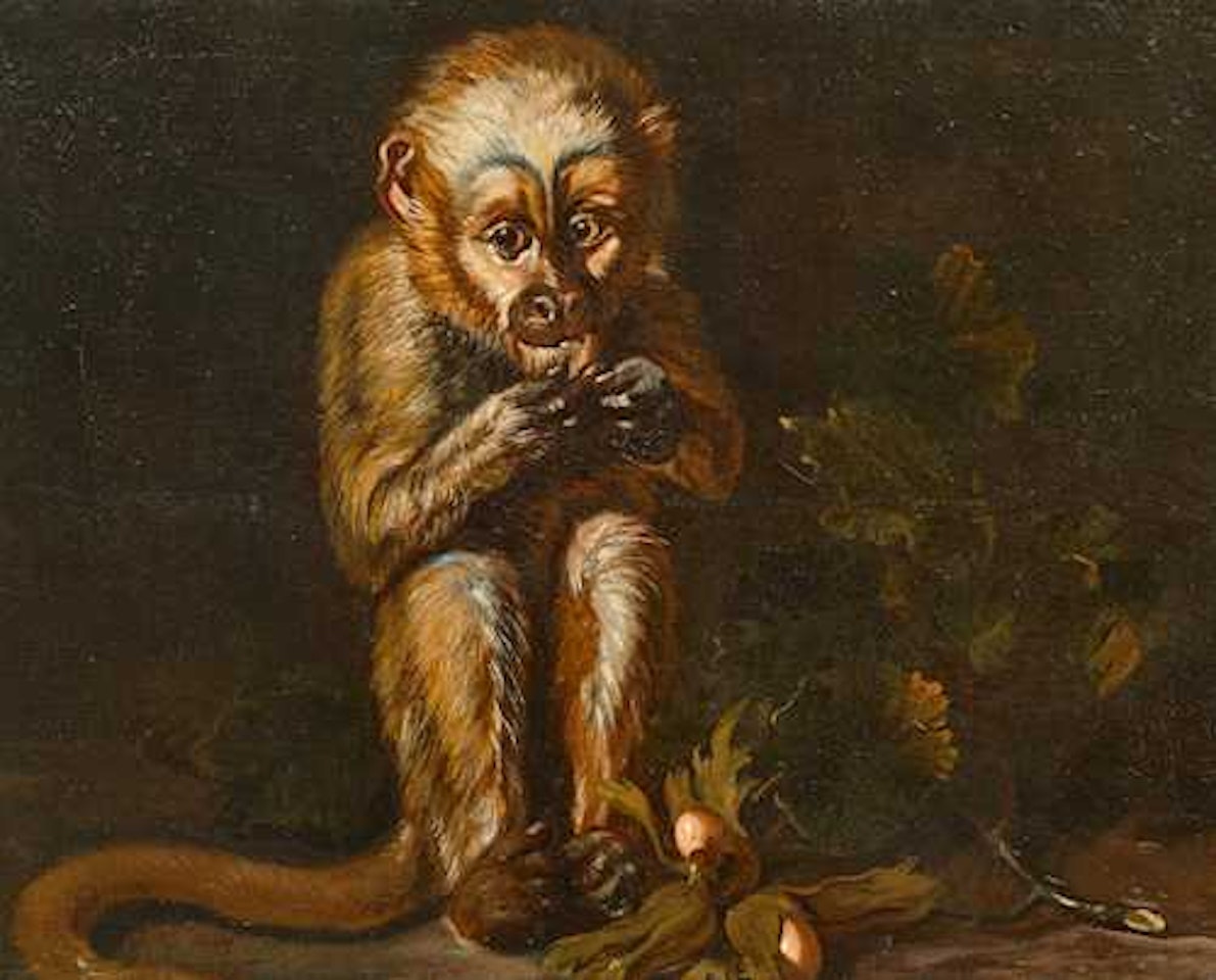 Portrait of a monkey. by Italian School