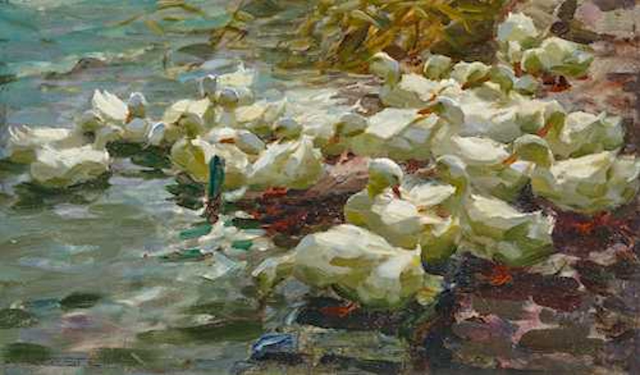 Twenty one white ducks in the water. by Alexander Koester