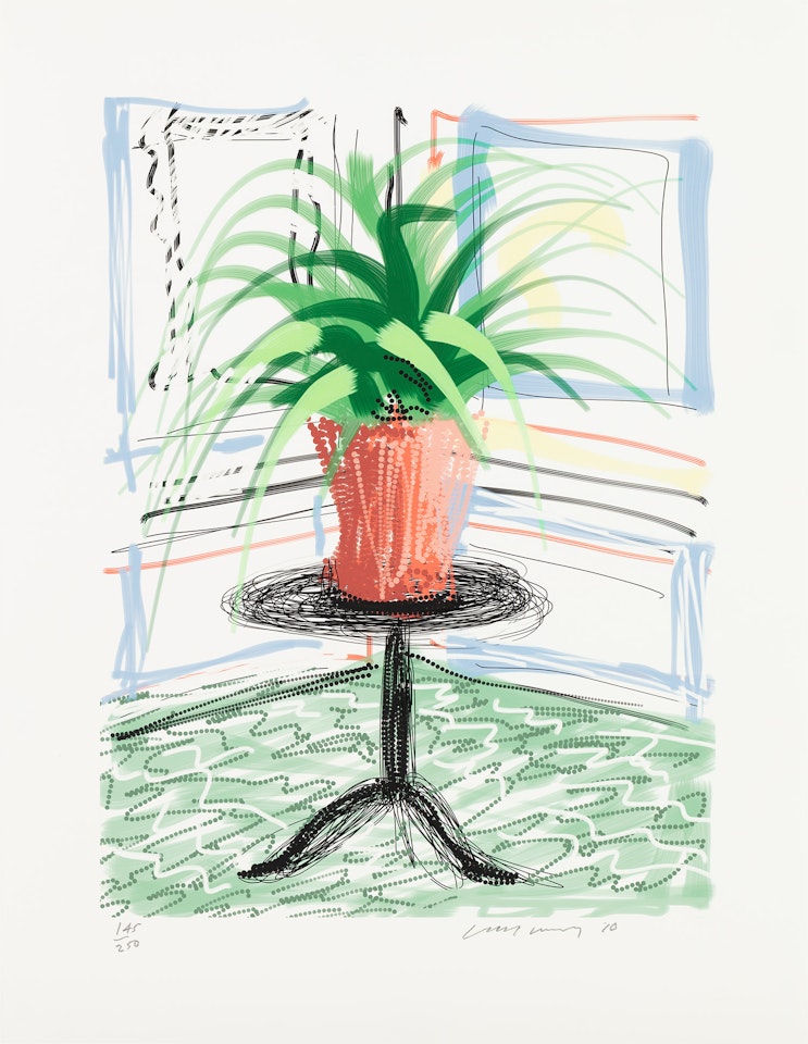 A Bigger Book by David Hockney