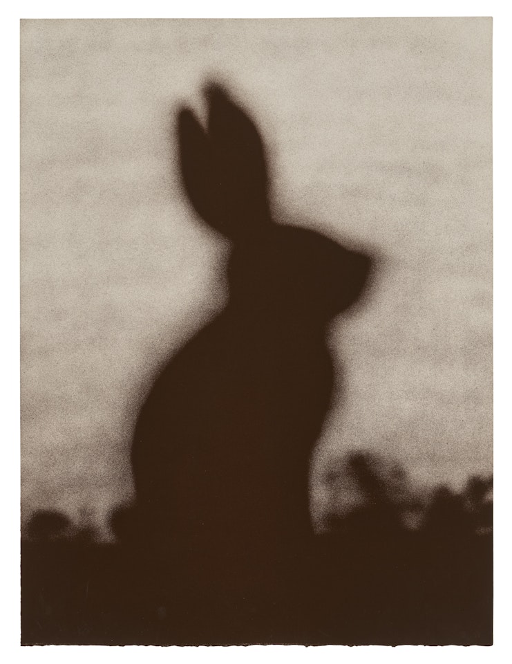 Rabbit by Ed Ruscha