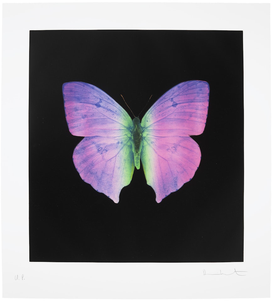 The Souls on Jacob"s Ladder Take Their Flight (Unique) by Damien Hirst