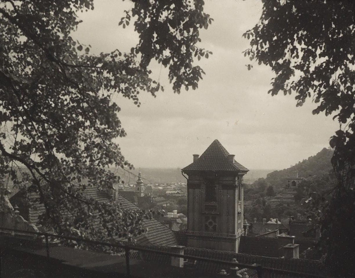 Garden Na Valech, Prague by Josef Sudek