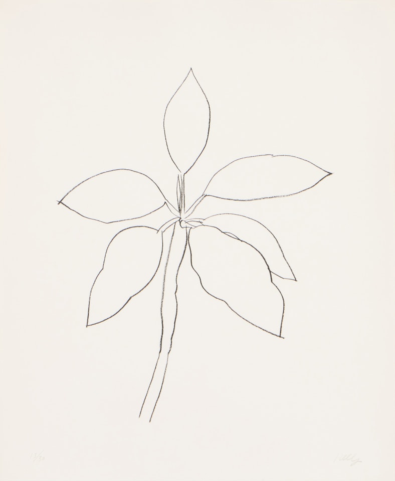 Tropical Plant (Axsom 271) by Ellsworth Kelly