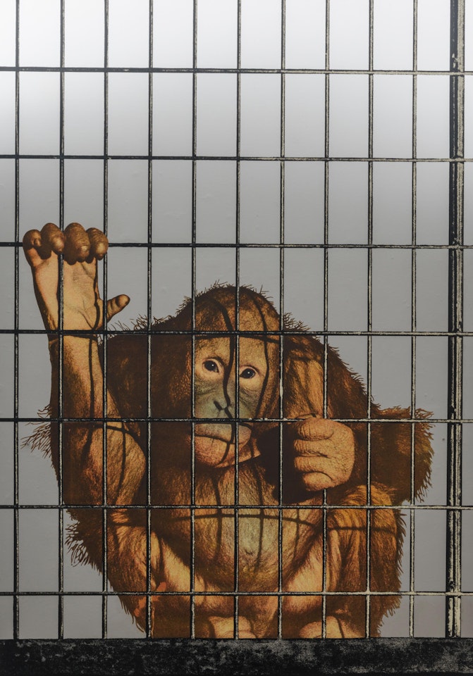 Scimmia in gabbia by Michelangelo Pistoletto