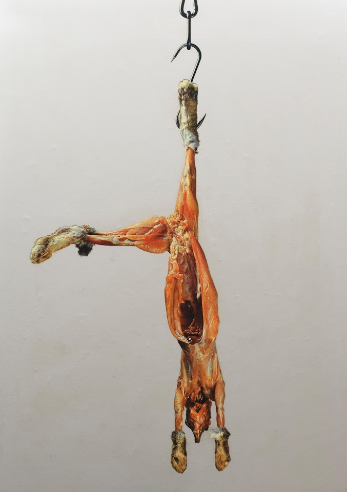 Coniglio appeso by Michelangelo Pistoletto