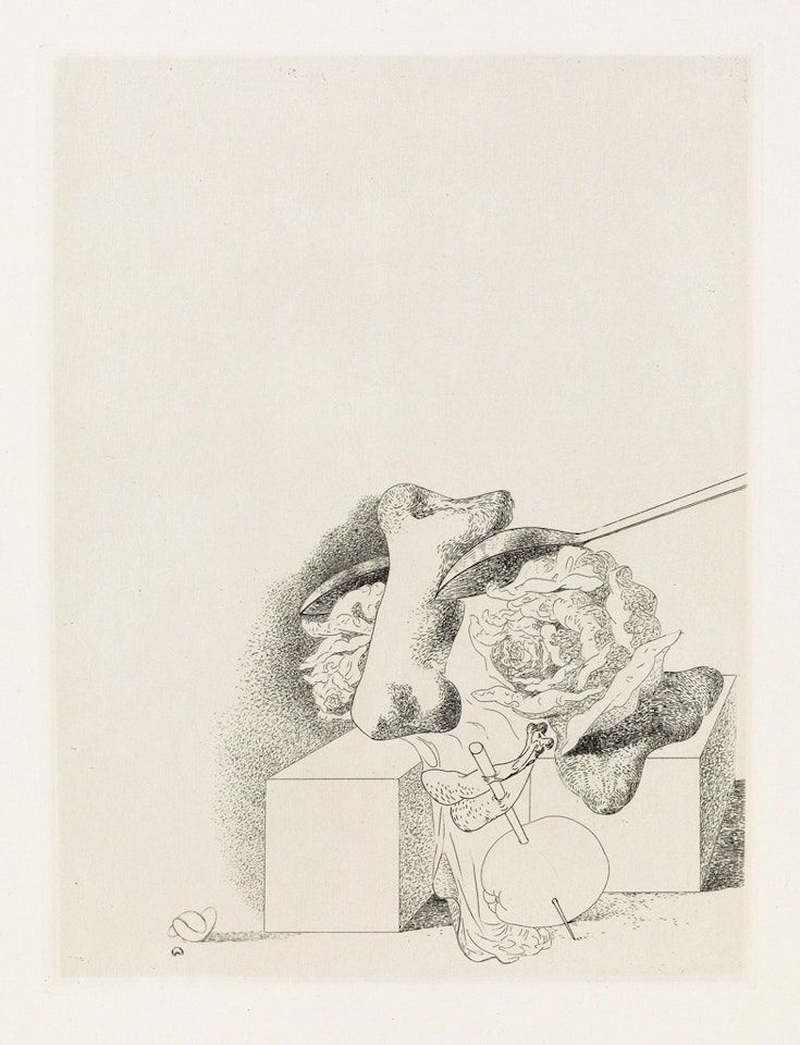 Les Chants de Maldoror by Salvador Dali