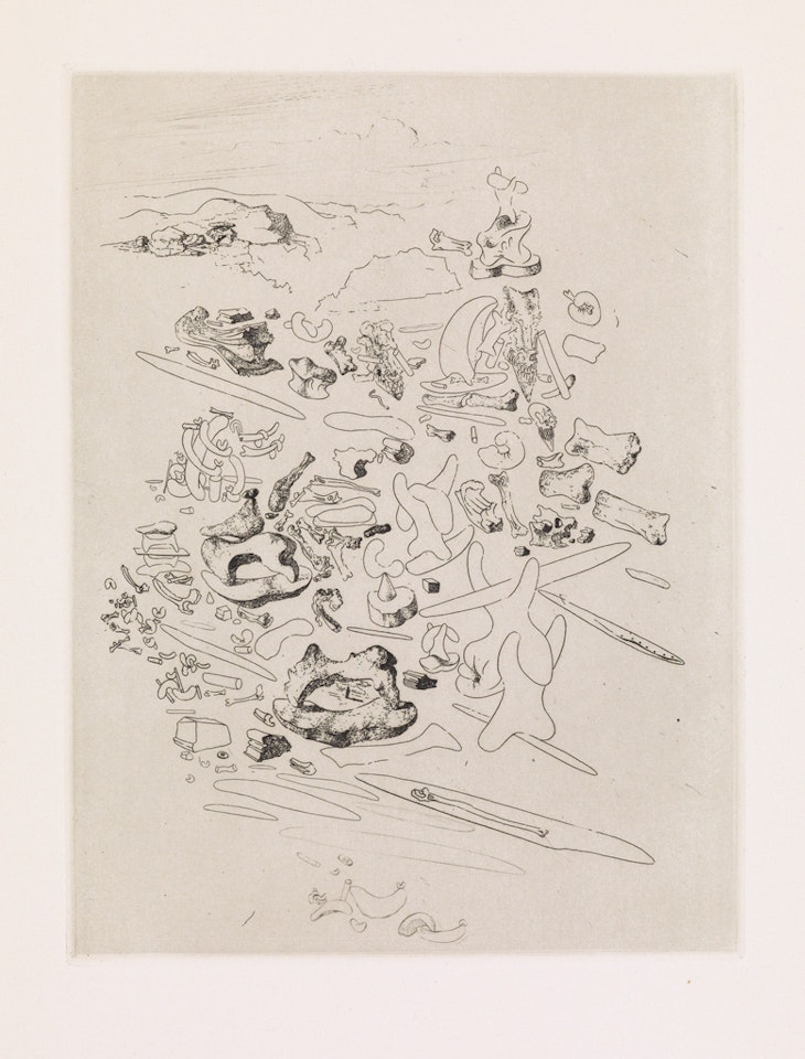 Les Chants de Maldoror by Salvador Dali