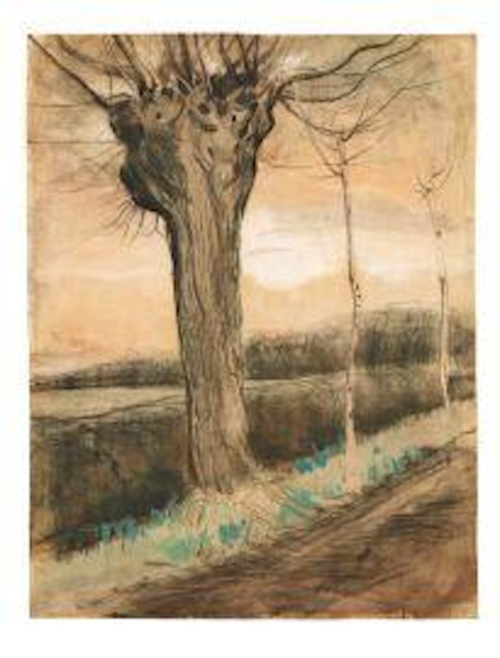 POLLARD WILLOW by Vincent van Gogh