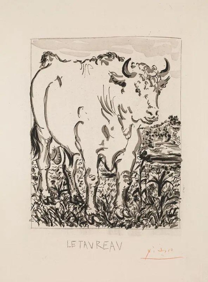 LE TAUREAU by Pablo Picasso