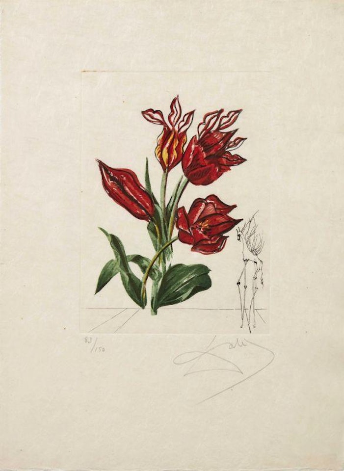 Petite florinae by Salvador Dali