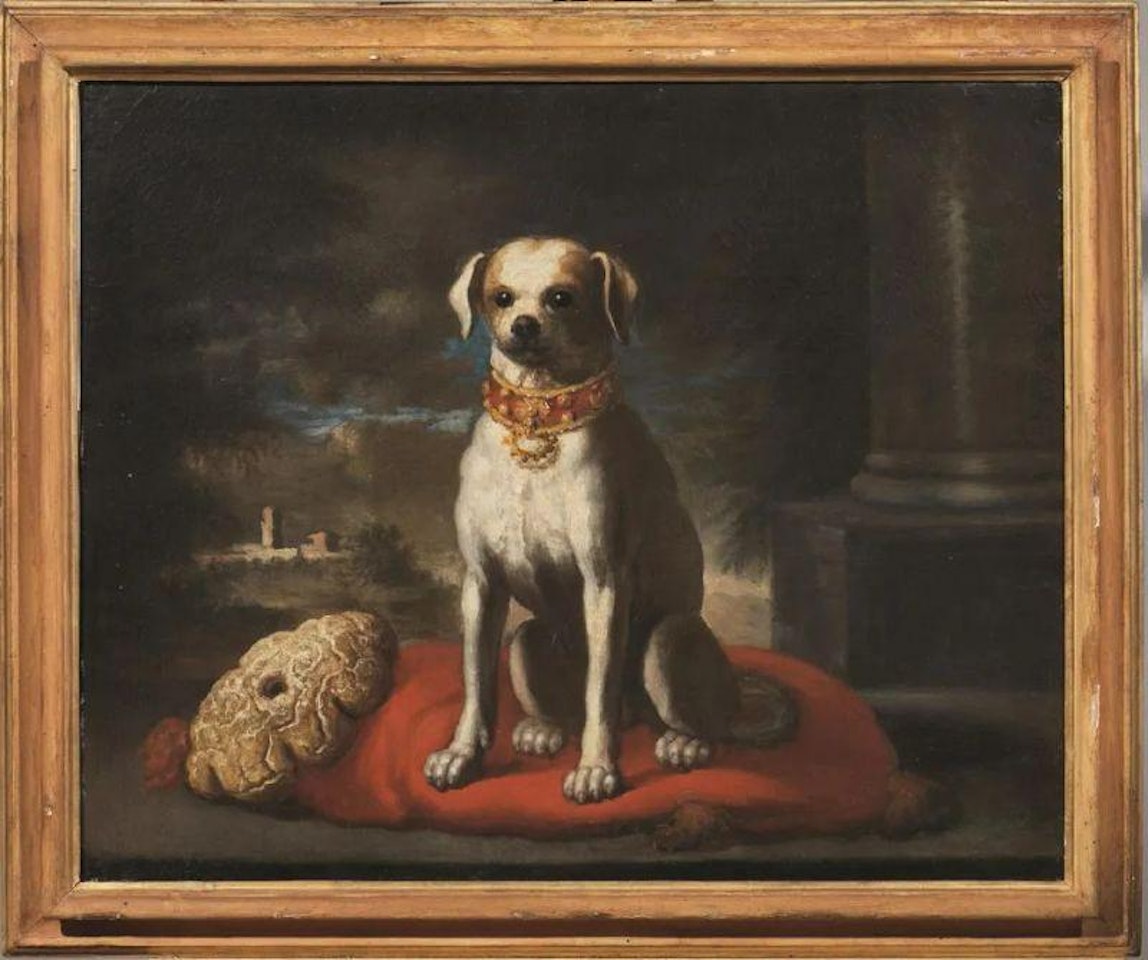DOG ON A RED PILLOW WITH LANDSCAPE IN THE BACKGROUND by Pier Francesco Cittadini