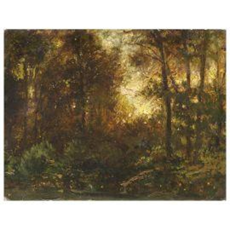 FOREST by Antonio Fontanesi
