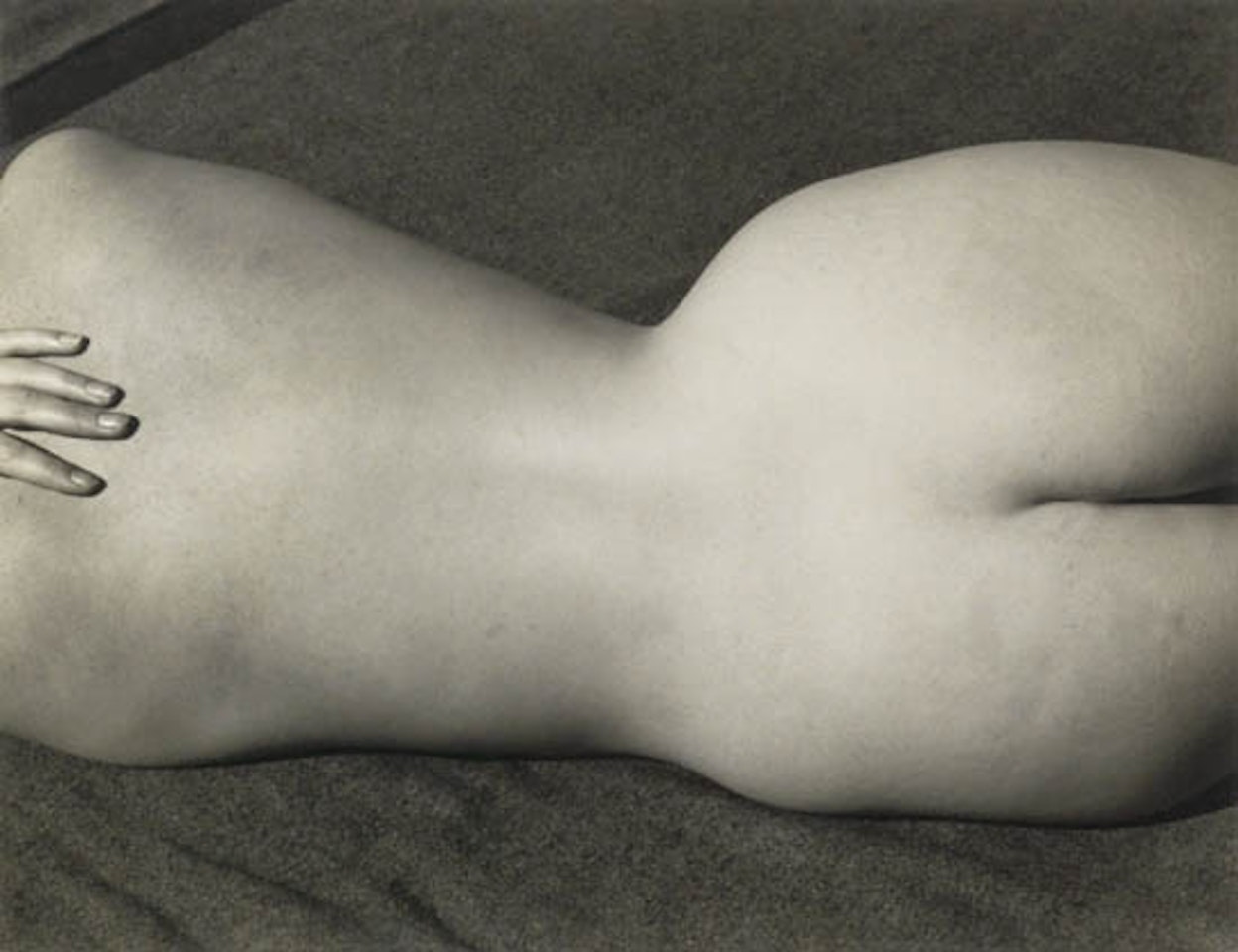 Nude (Charis) by Edward Weston