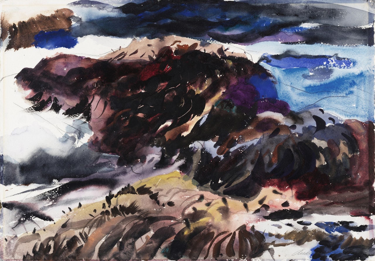 Rockweed on Monhegan by Andrew Wyeth