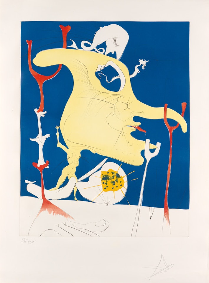 La Conquête du Cosmos II by Salvador Dali