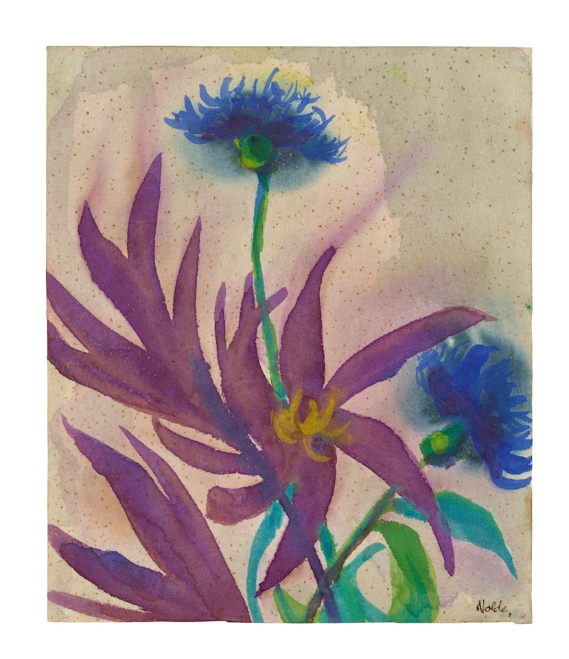 Kornblumen by Emil Nolde