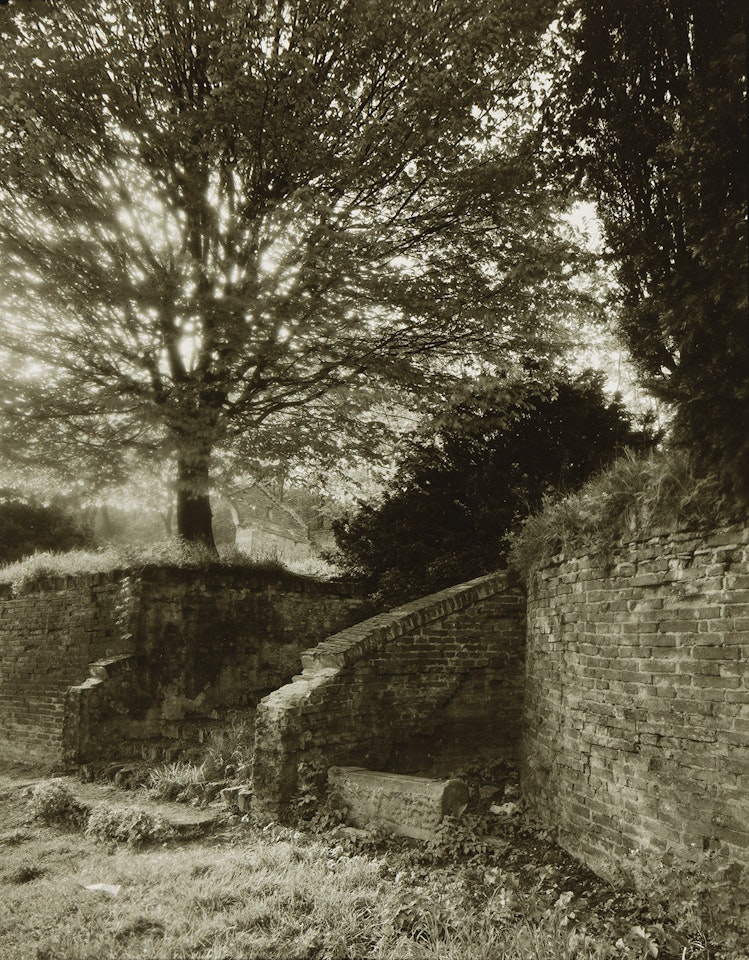 Untitled, from the Remembrance series by Josef Sudek