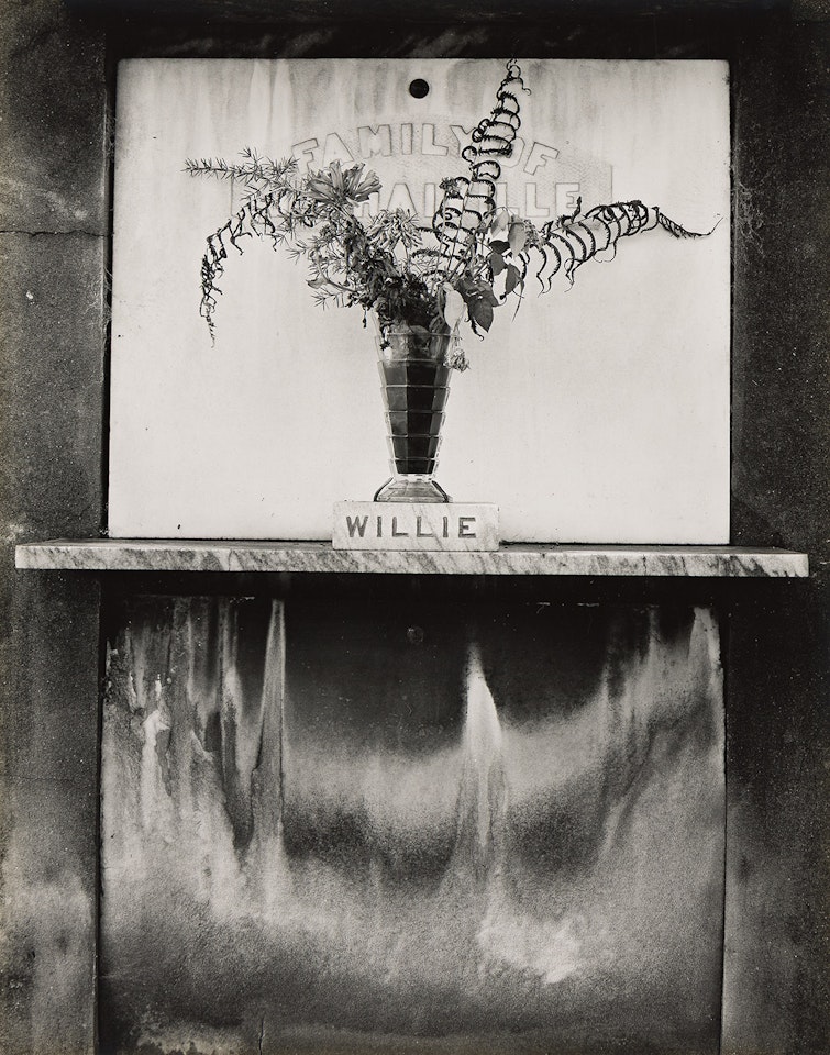"Willie," St. Roch Cemetery, New Orleans, from Edward Weston: Fiftieth by Edward Weston