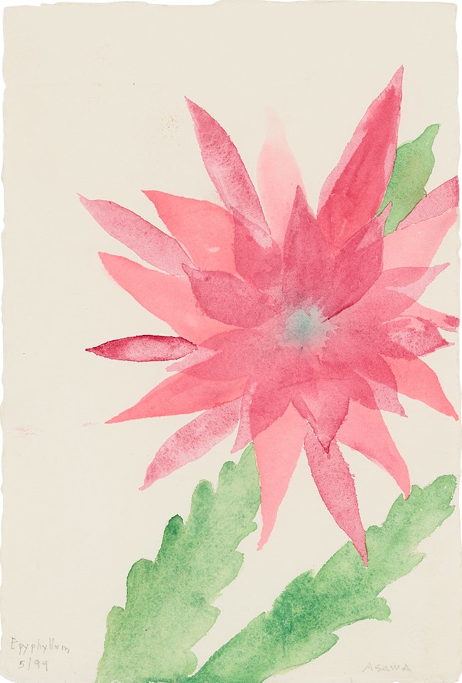 Epyphyllum by Ruth Asawa