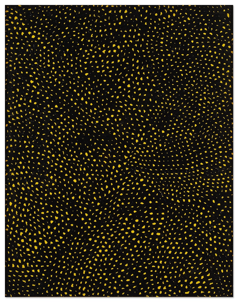 Nets Infinity by Yayoi Kusama