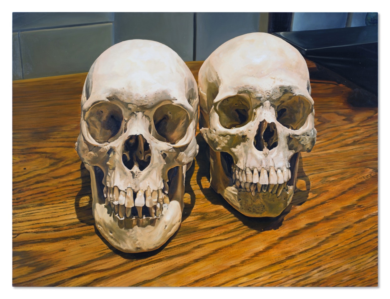 Two Skulls by Damien Hirst