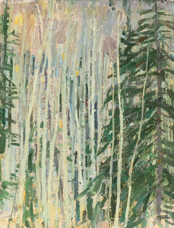 Aspens, Twinning Canyon by Leon Gaspard
