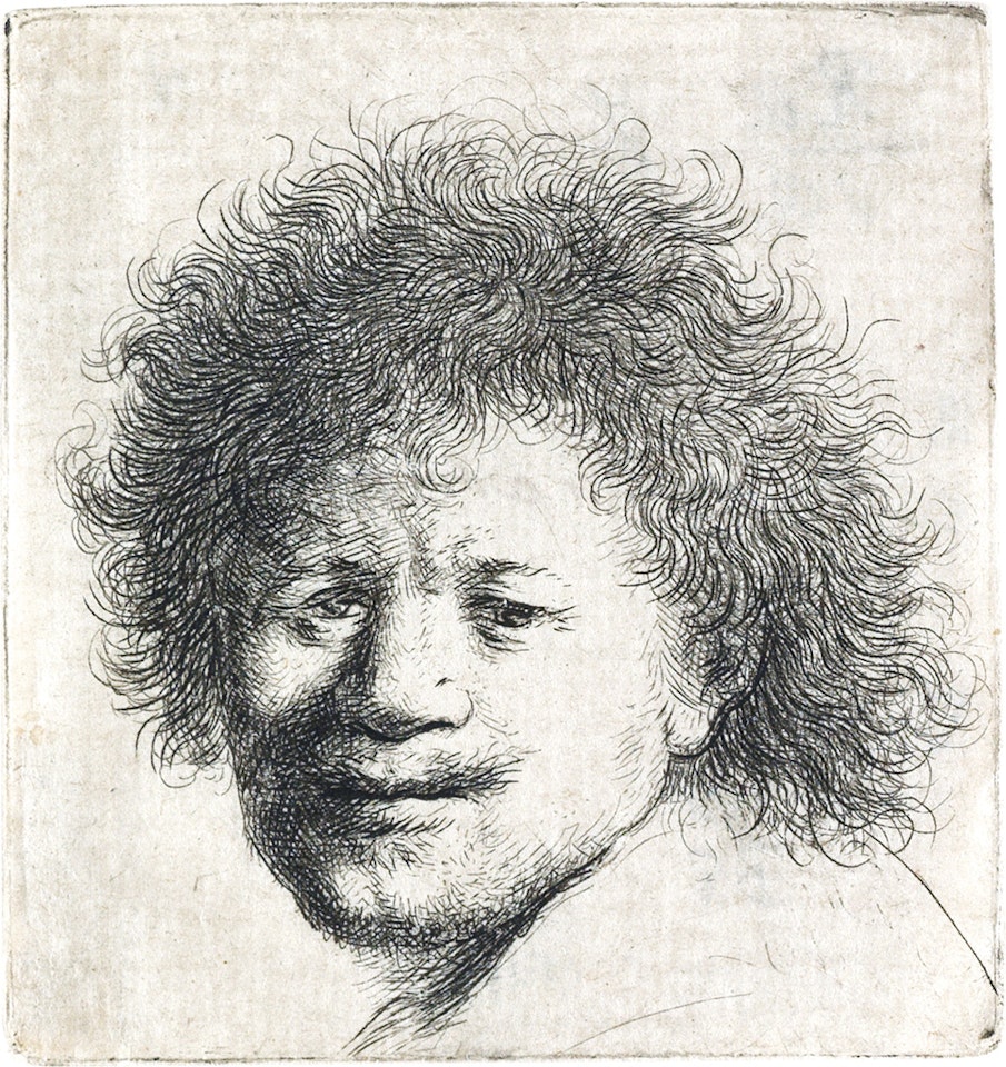 Self Portrait With Long, Bushy Hair: Head Only by Attributed to Rembrandt Harmensz van Rijn