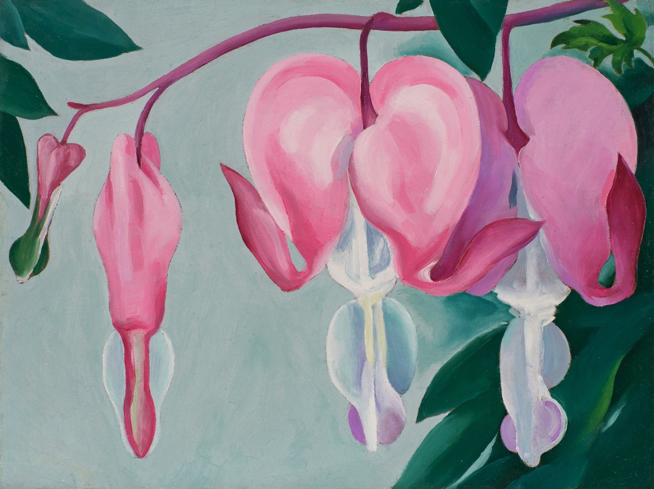 Bleeding Heart I by Georgia O'Keeffe