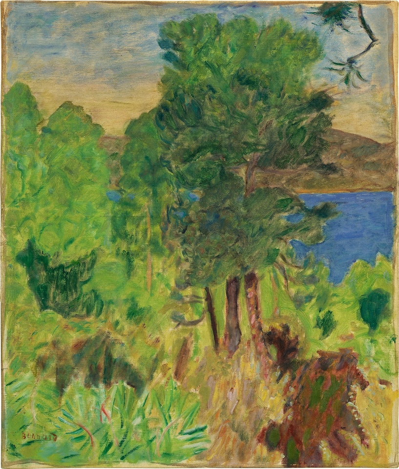 Pins (Environs de Cannes) by Pierre Bonnard