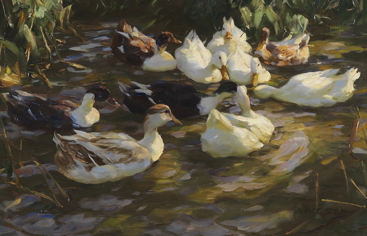 Enten am Teich by Alexander Koester