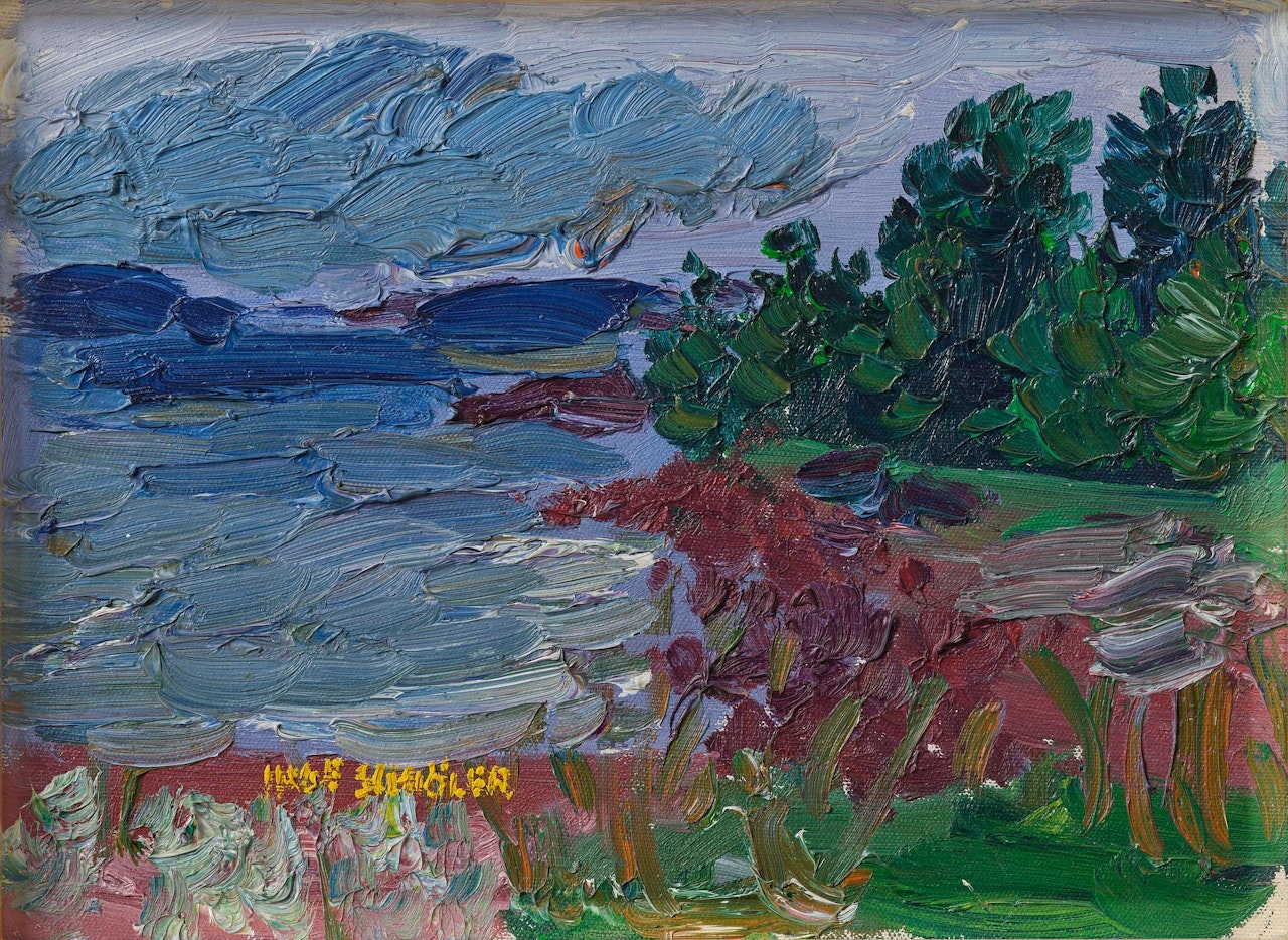 View from Koster by Inge Schiöler
