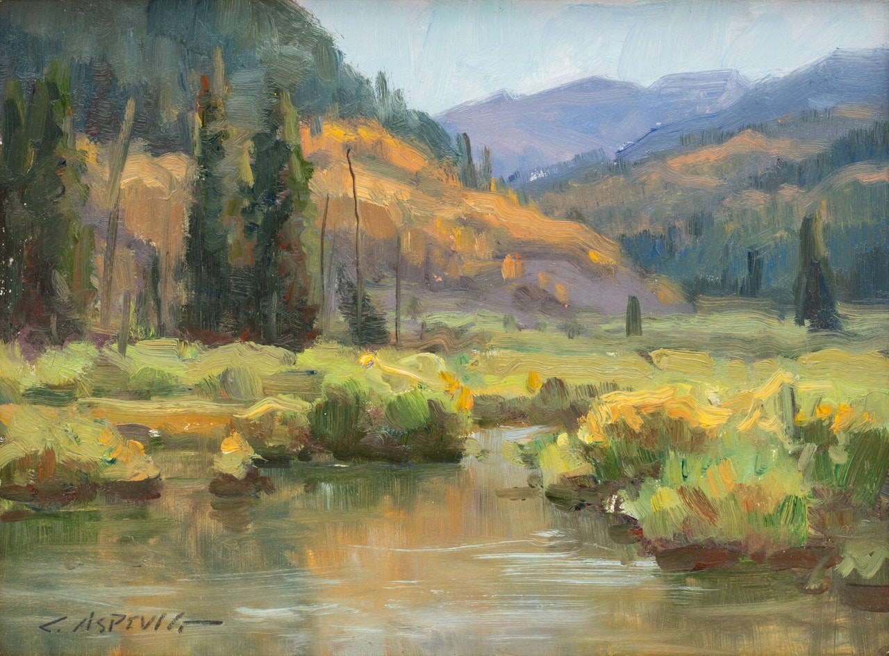 Mountain Stream by Clyde Aspevig