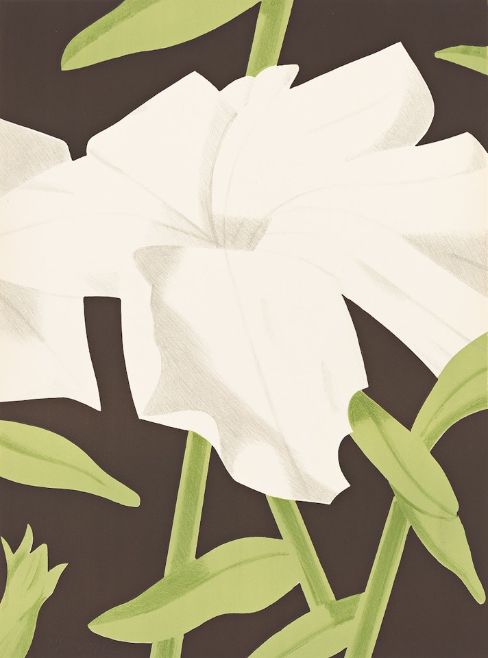 White Petunia . by Alex Katz