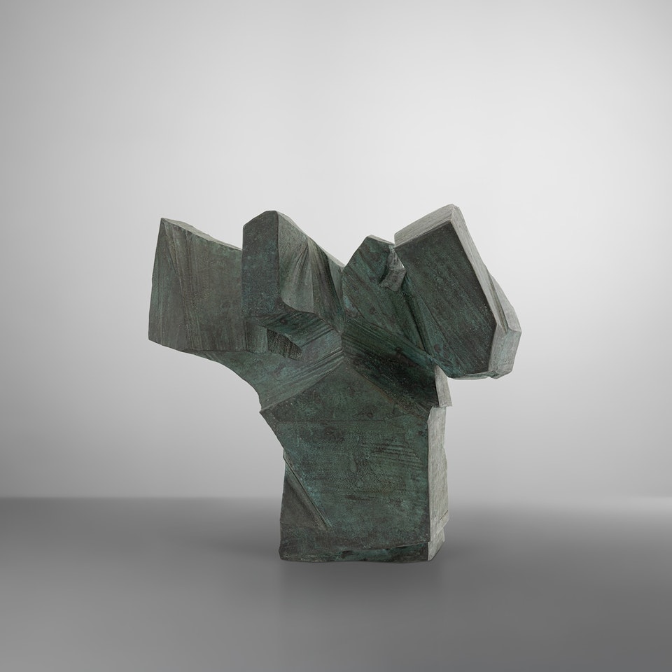 Taichi Series - Below Elbow Watch First Lean by Ju Ming